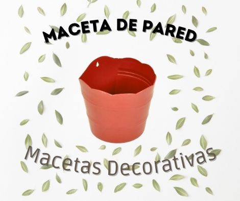maceta_pared